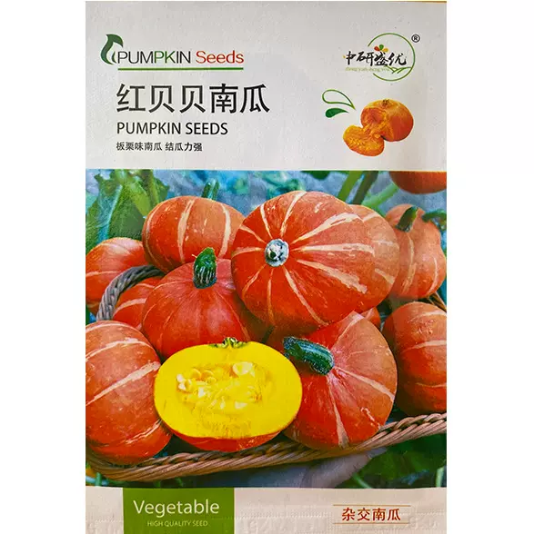 研优红贝贝南瓜种子 甘面甜糯板栗南瓜种子 菜园农家迷你小南瓜籽