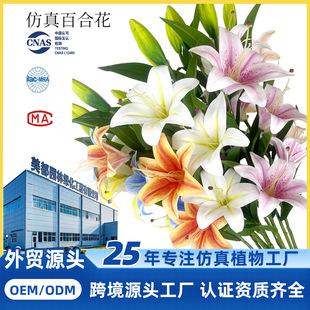 ����ٺϻ����ϻ�c�쾰���ľӼҔ[���ٻ��������������v̨�I�Y��