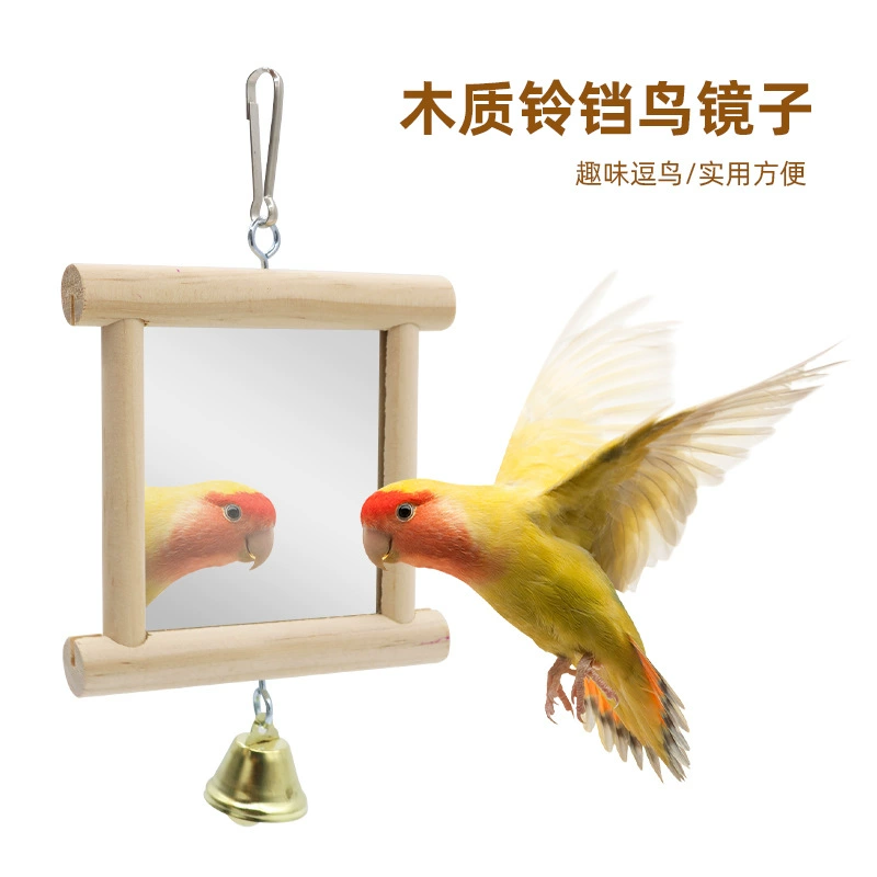 Птица Зеркало Платформа Попугай Игрушки Принадлежности Костюм Балкон Попугай Палка для ног Попугай Игрушка Птица Зеркало
