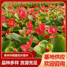 �ļ��������������ݻ��� �ļ��_�����̻����G���� �^�p�ļ�������