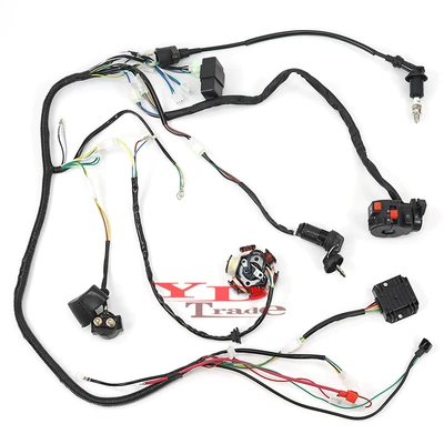 Other power supply, ignition system Big Bull 125-150Cc Dinosaur Gy6