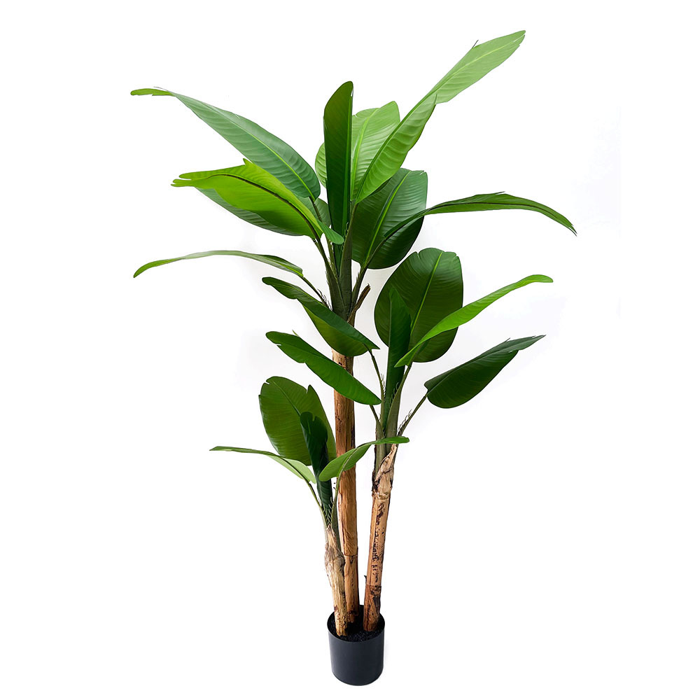 árbol de plátano verde simulado árbol de plátano