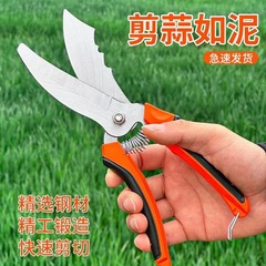 ステンレス製ニンニクはさみ、ニンニク苗、ニンニク根農業用はさみ、玉ねぎ剪定専用ツール、ニンニク農家用ツール、ドロップシッピング