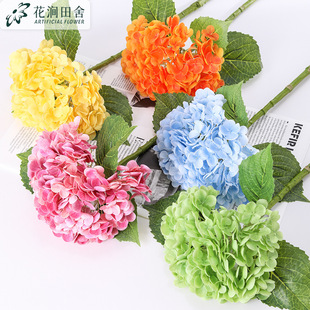 ���滨�ָб�����196Ƭ ��c�Ҿӿ͏d�b����辰�廨�ٻ�����