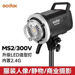 神牛ms200 300w影棚フラッシュ撮影灯影楼撮影室補光灯柔光灯内蔵x1