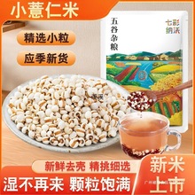 �F��С޲����؛޲�������rȥ��޲��������s�Z�ǳඹ�t������ּZ