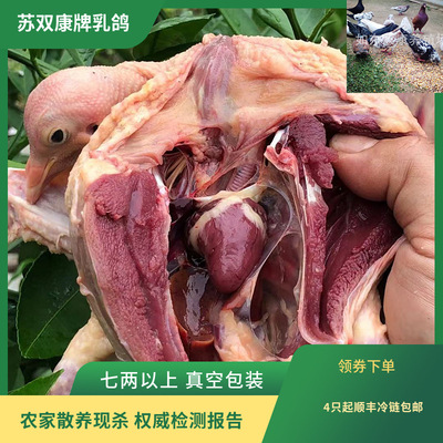 Su Shuangkang Brand Pigeon Meat тушено живым отражает убийство новых голубиных голубей голуби Большой овощной голуб