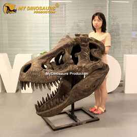 室内外玻璃钢仿真霸王龙头骨 超写实商场景区恐龙骨骼逼真模型