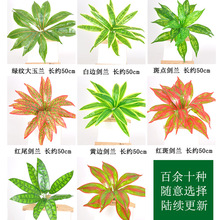 ֲbGֲڒ滨GɫپG}~ֲ