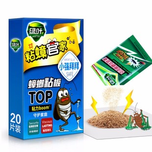 Green Leaf Cockroach Killer Sticky Board, Cockroach Killer Sticky Paper, Sticky Cockroach Board Containing Drug Attractant, Household Cockroach Killer, 20 Pieces in a Single Box