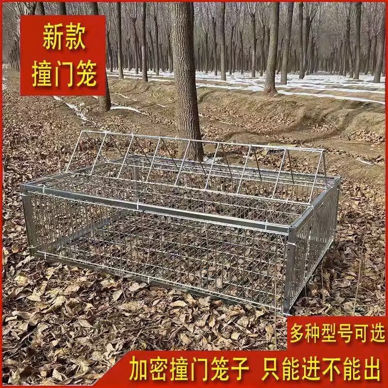 新款加密只进不出鸽子笼天落笼户外撞门笼全自动收鸽笼捕鸽子神器|undefined