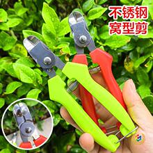 �����P䓸C��ժ���������O���������ժ��ˮ������������֦��