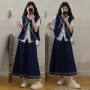大码短袖蕾丝刺绣半身裙