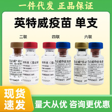 正品进口英特威狂犬疫苗狗二联四联六联宠物犬猫疫苗批发支持代发