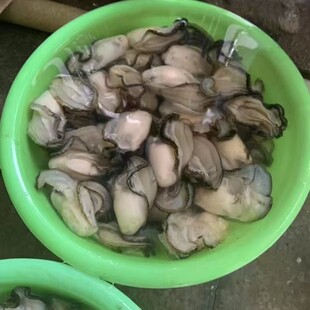 �V�|���r���������n�����V�|��������һ��50�����С�