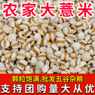 �r��޲�״�޲�������l��޲������޲�������� ����s�Z���]