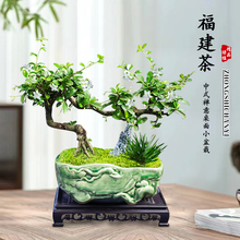 �������辰�h֦�Gֲ�҃��k���Һ��B���������Ϙ��U��ֲ��͏d���l