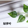Greenery