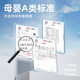 New Summer Ultra-thin Cool Breathable Cave Cup Foundation Lactation Underwear Jelly Strip Upper Holder Pregnant Women's Underwear