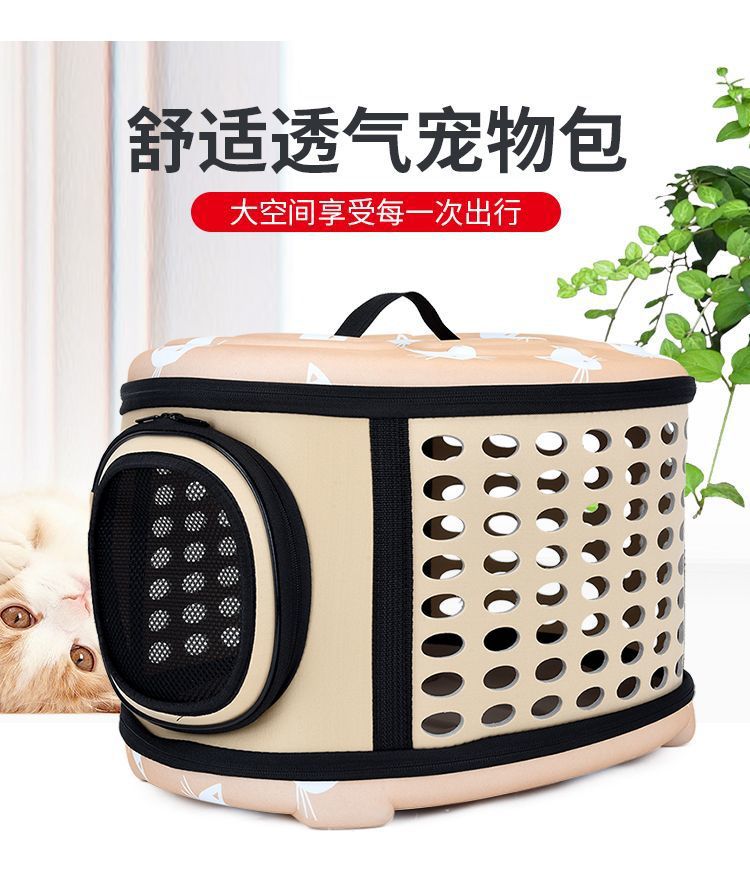 bd56c676-2a38-4bca-abd0-145e36a19cf0.jpe