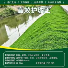 ���l�ͺ��ͺ��͸ߜ��o�¹����G�����B�ޏ��ļ������