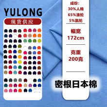 密根日本棉200gTR涤氨纶汗布平纹针织布料拉架单面打底衫t恤面料
