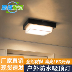 屋外天井灯防水庭園入戸玄関客間廊下通路露店軒ベランダ天井灯