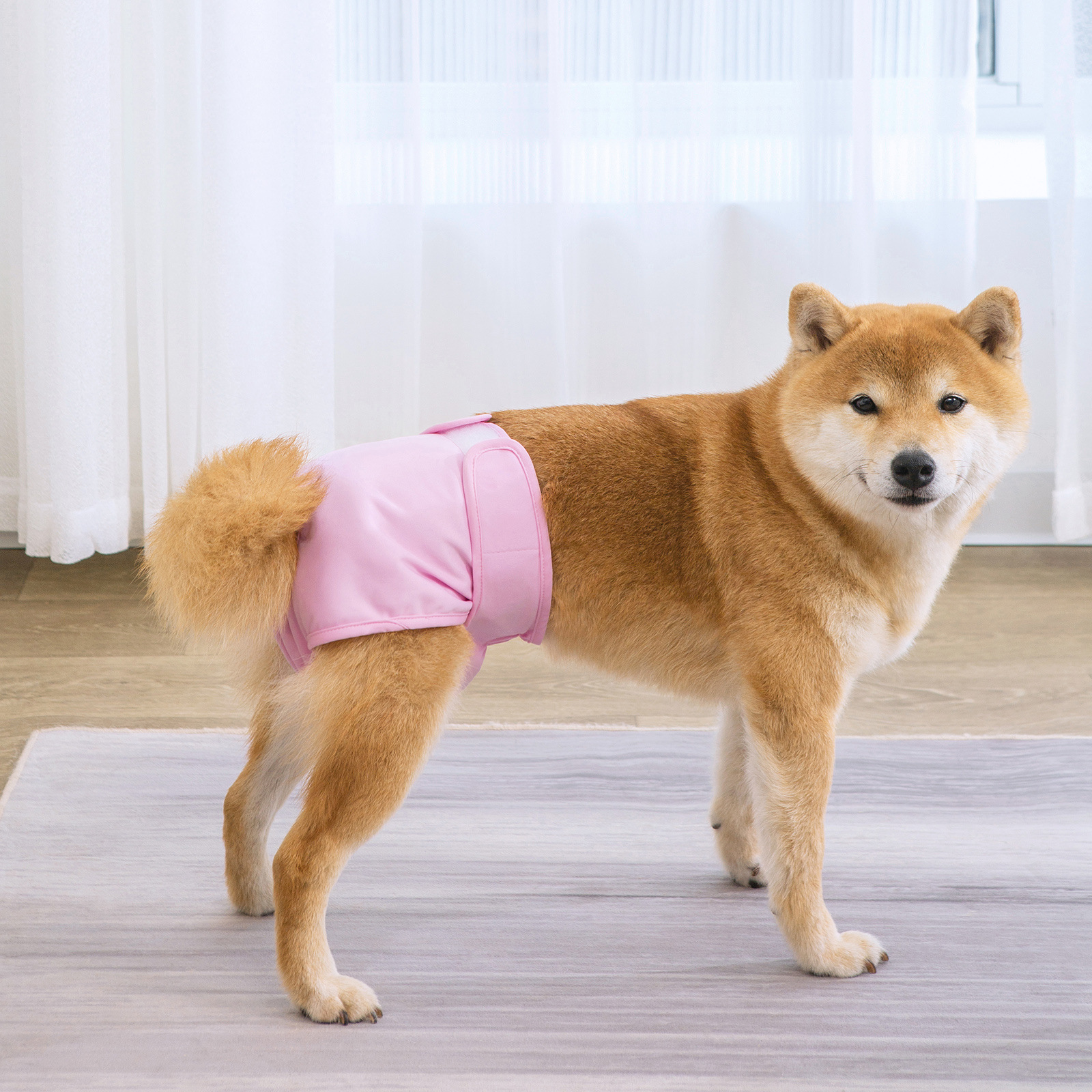 Гигиенические трусики для собак HAPPRPET многоразовые