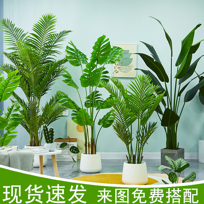 仿真植物天堂鳥旅人蕉服裝店裝飾假植物吊鐘樹龜背葉仿真綠植盆栽