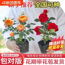 �¼������ļ��_��õ��С���̨���Ի���ͥԺ���پGֲ����ٱ��Nޱ