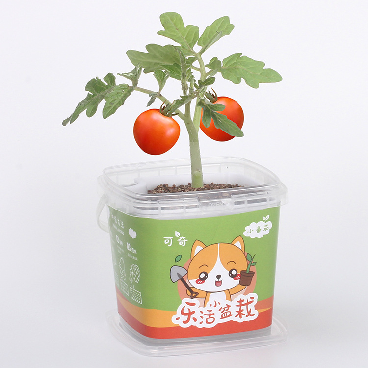 칫ֲֲֲֻԻħ  ڼֲ