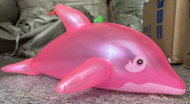 빛과 핑크 돌고래