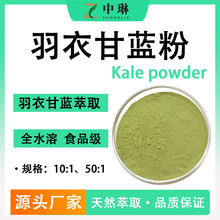 羽衣甘蓝粉 食品级羽衣甘蓝萃取水溶性原料 现货1KG装 可寄样