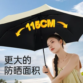 晴雨伞;遮阳/太阳伞;雨伞