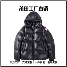 ���Z���������q����ʿ2025�����¿���H�����Ӻ�O����ů����Ů