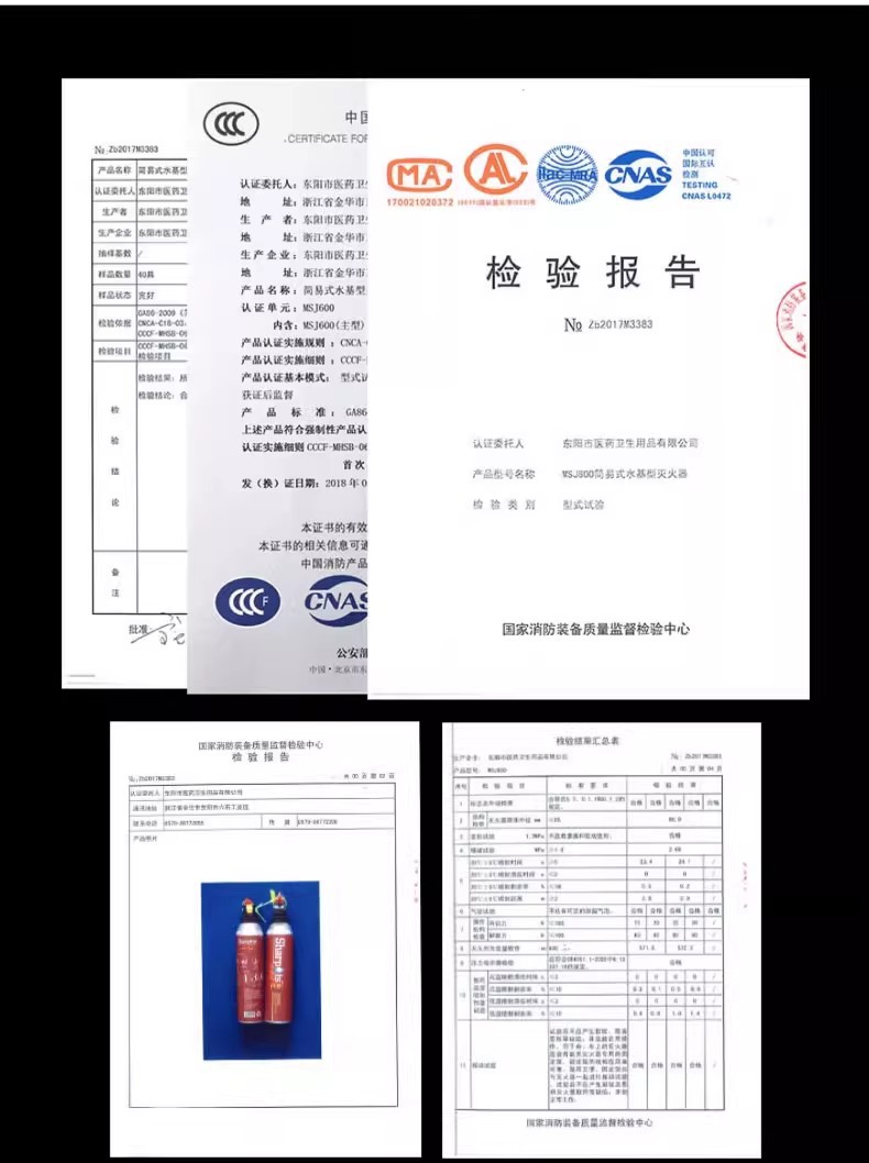 Vehicle-Mounted Water-Based Fire Extinguisher 3C Certified Metal Explosion-Proof Small Portable Fire Extinguishing Equipment for Car and Home Use Wholesale from Manufacturer