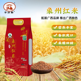 �V�����ݼt����ܛ��ּZ�L��֮�l�خa�����������ЋD��ͯ�I�B�s�Z