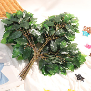 ������ȼ�٘��~�G�~�Ř��~���~�̈������쾰�b�ֲ֦�����Gֲ