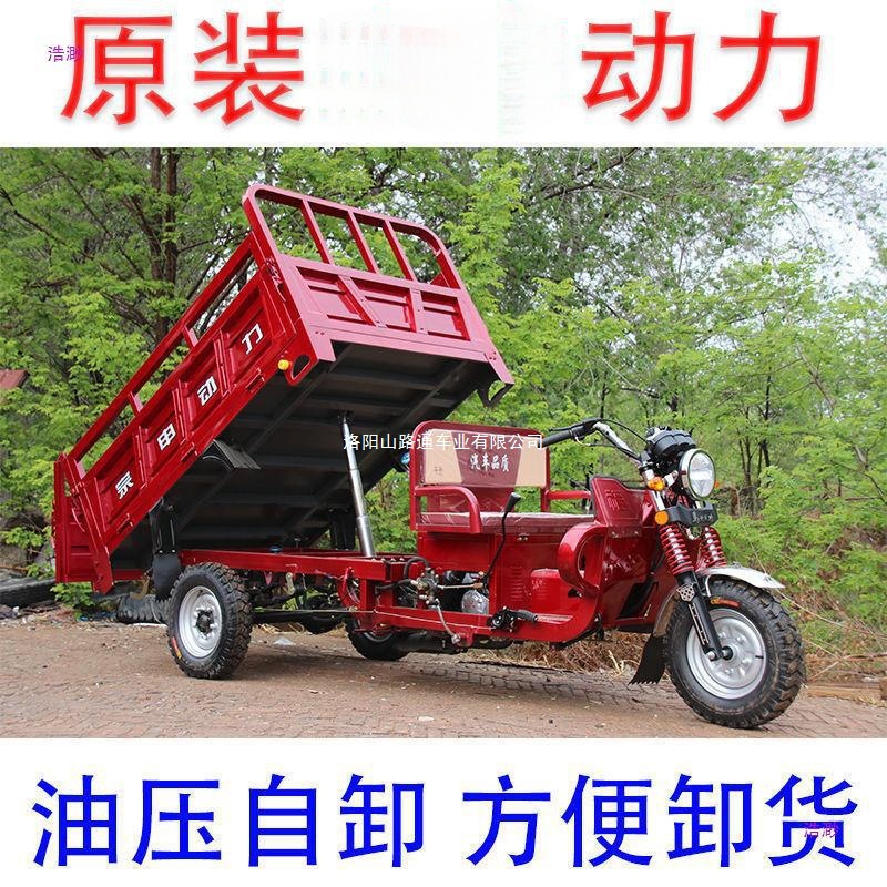 Las motocicletas de tres ruedas se pueden utilizar en la licencia, ciclomotor Zongshen Longxin, camión volquete pequeño, vehículo eléctrico de imitación de carga