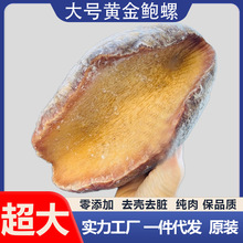 �S���U�����l���ȼӠ������U�S����UƬ������偛�������r������