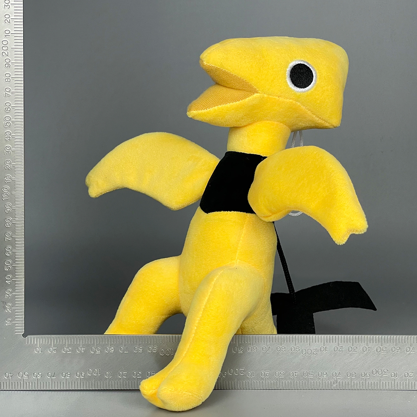 实拍 黄龙 (3).jpg