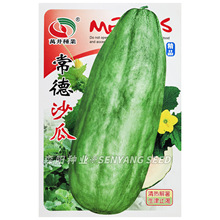 �f������ɳ�ϷN�������͟������ϱ��������Ƥ�˹ϾGȿ�������