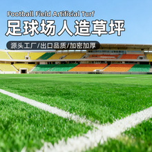 ƺGɫٲƤ׃@ٲƺ̺ƺ