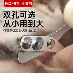 Pet Cat Special Naint Rutg
