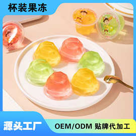 代工什锦蒟蒻果汁果冻杯装定制水果味乳酸果冻爽儿童休闲健康零食