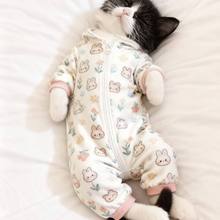 ؈��ɐ۱�ůС؈˯��Kitty؈�¿�Ҿ����m���_����Ȯͨ�ó���