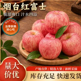 牛肉零食;苹果;酱卤类