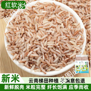 ����tܛ������خa��ܛ���L����������s�Z������t��ܛŴ����