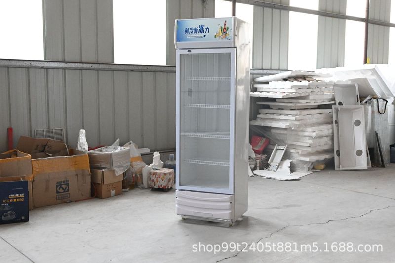 啤酒柜饮料冷藏展示柜立式商用保鲜柜双门超市冰箱啤酒柜支持验厂|undefined