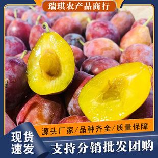 �����½�����÷5�ﮔ�����rˮ���Fժ���m��������÷���Ӵ�����]